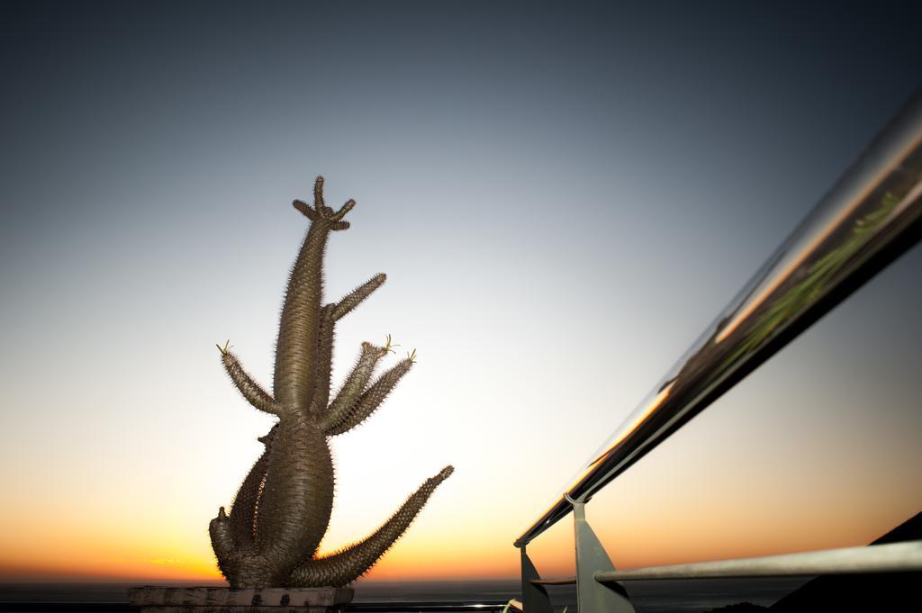 ホテルAtholl House Camps Bay エクステリア 写真